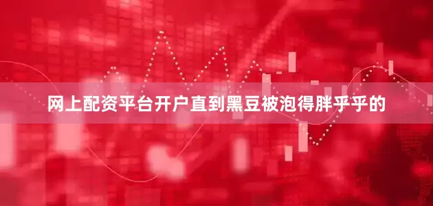 网上配资平台开户直到黑豆被泡得胖乎乎的