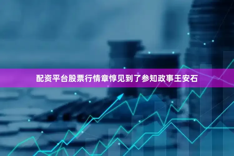 配资平台股票行情章惇见到了参知政事王安石